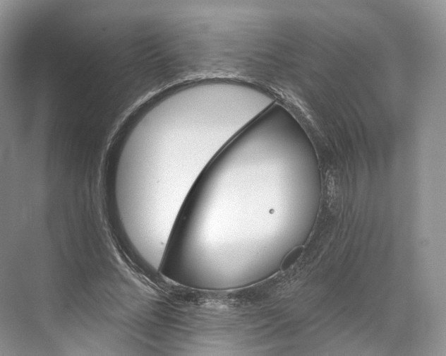 X0000073480684200608140817