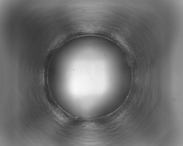 X0000073480685200608140817