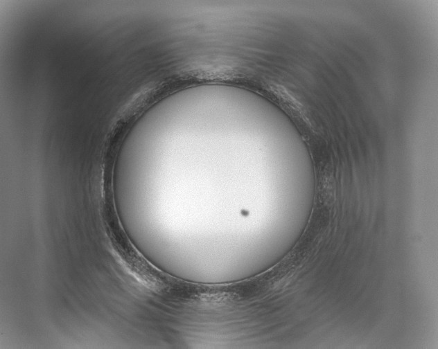 X0000073480686200608140817