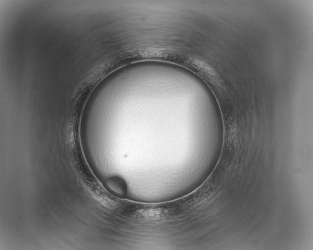 X0000073480687200608140817