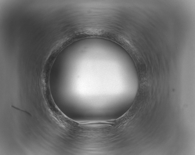 X0000073480688200608140817