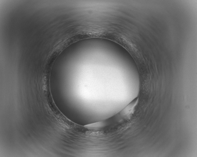 X0000073480689200608140817