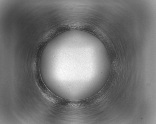 X0000073480690200608140817