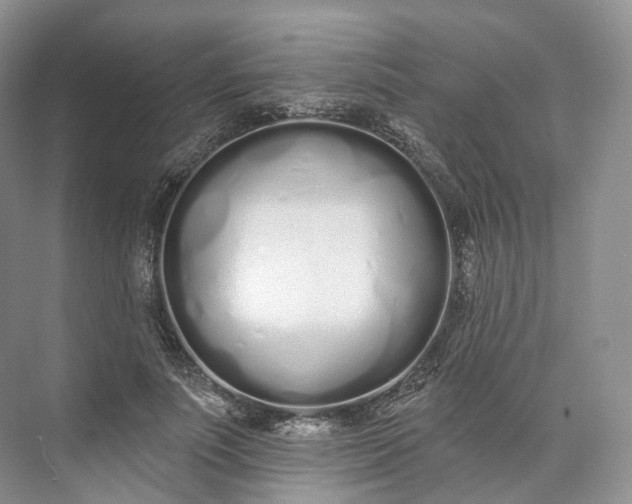 X0000073480691200608140816