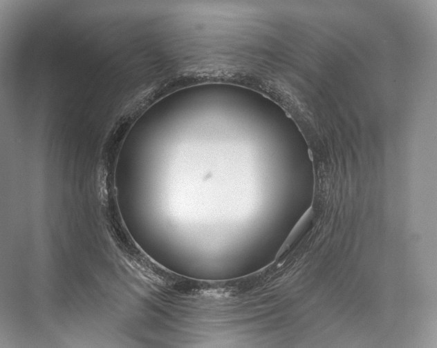 X0000073480692200608140816