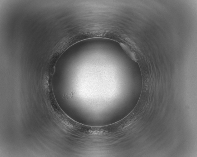 X0000073480693200608140816