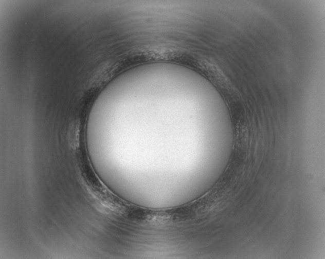 X0000073480694200608140816