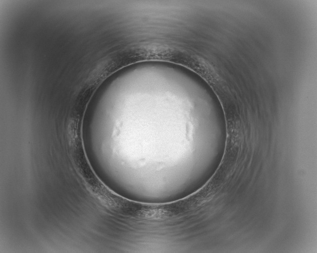 X0000073480695200608140816