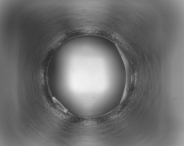 X0000073480696200608140816