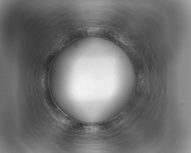 X0000073480698200608140816