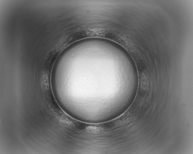 X0000073480699200608140816