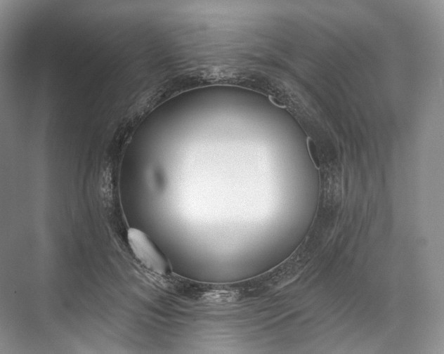 X0000073480700200608140816