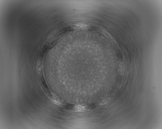 X0000073480701200608140816