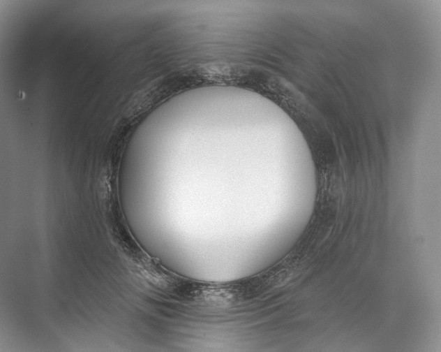 X0000073480702200608140816