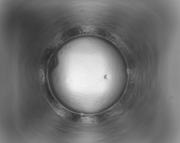 X0000073480703200608140816