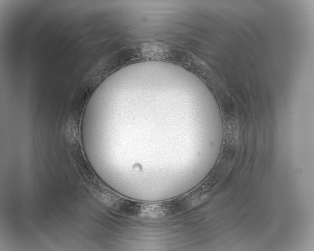 X0000073480705200608140816