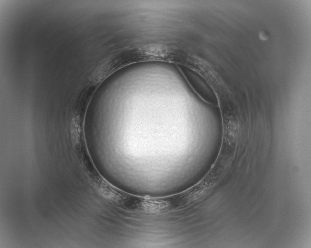 X0000073480707200608140816