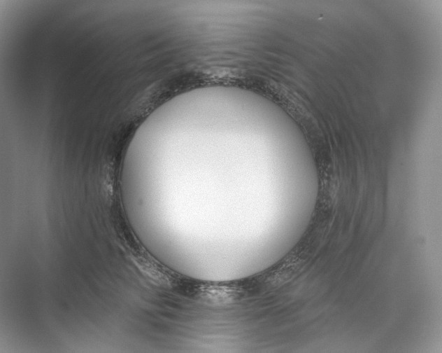 X0000073480710200608140816