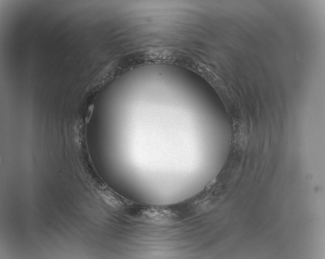 X0000073480712200608140816