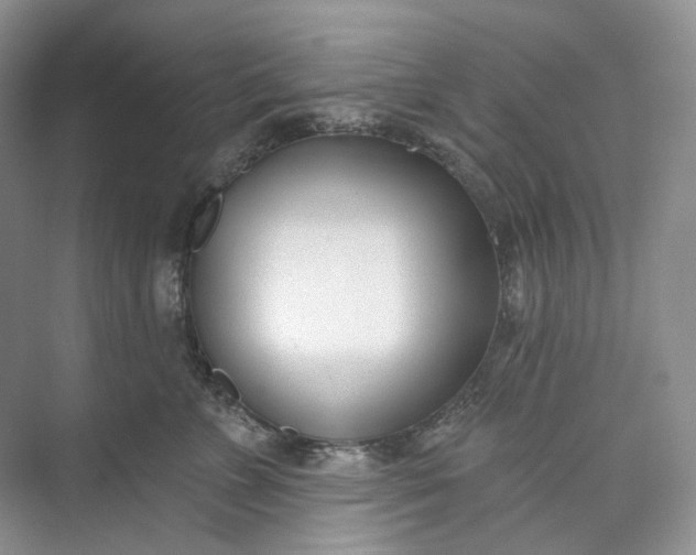 X0000073480715200608140816