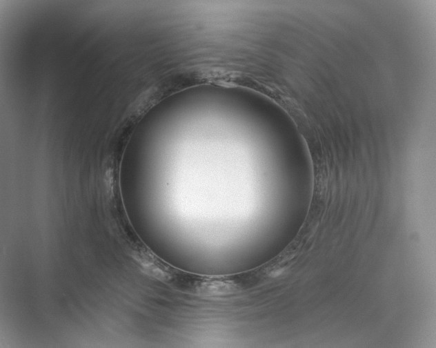 X0000073480716200608140816