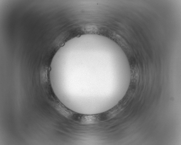 X0000073480717200608140816