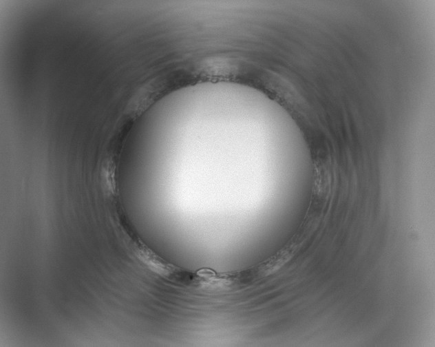 X0000073480718200608140816