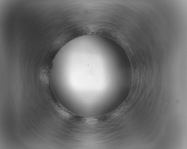 X0000073480719200608140816