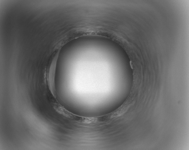 X0000073480720200608140816