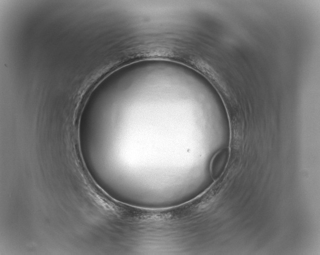 X0000073480721200608140815