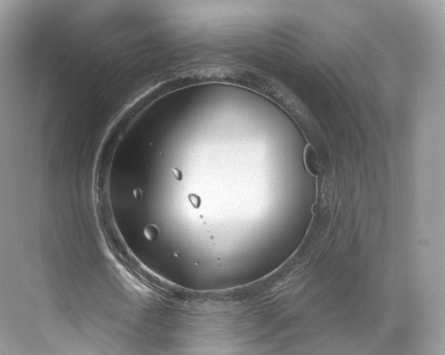 X0000073480722200608140815