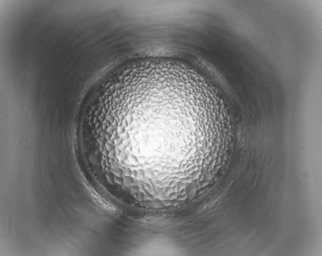 X0000073480725200608140815