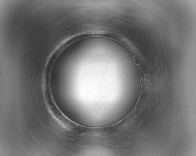 X0000073480726200608140815