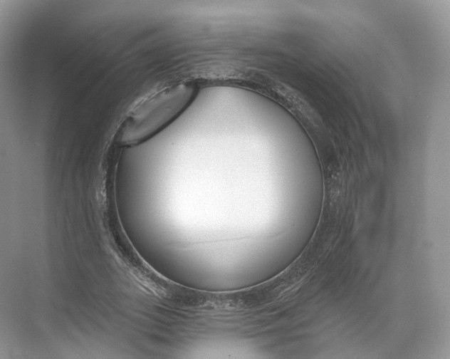 X0000073480727200608140815