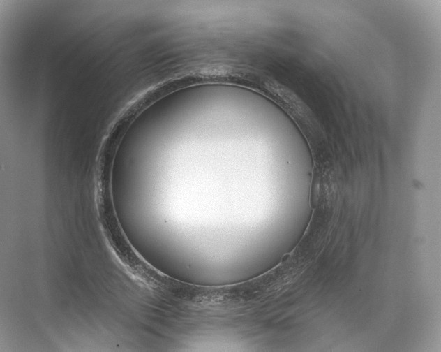 X0000073480728200608140815