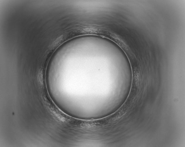 X0000073480729200608140815