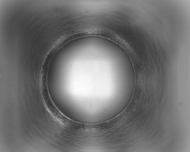 X0000073480730200608140815