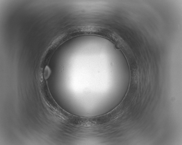 X0000073480731200608140815