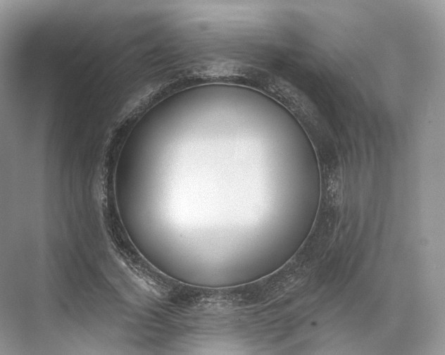 X0000073480732200608140815