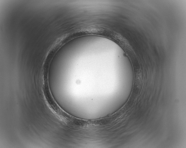 X0000073480734200608140815