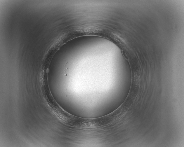 X0000073480735200608140815