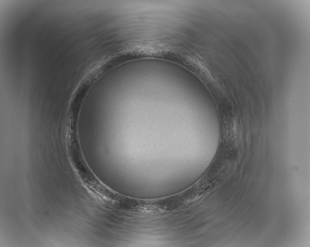 X0000073480736200608140815