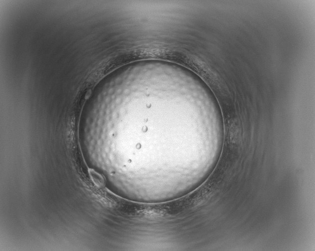 X0000073480737200608140815