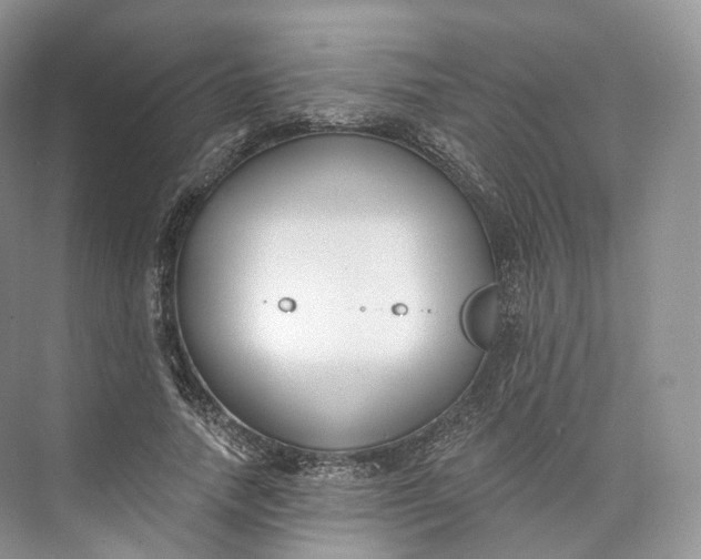 X0000073480738200608140815