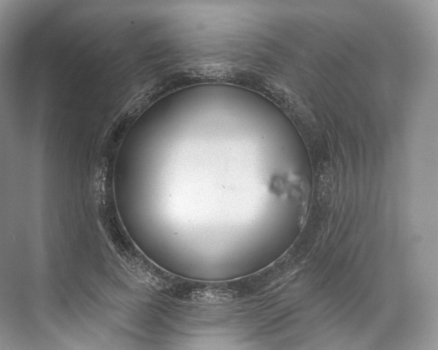 X0000073480739200608140815