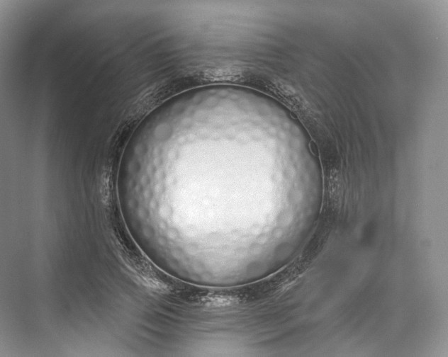 X0000073480741200608140816