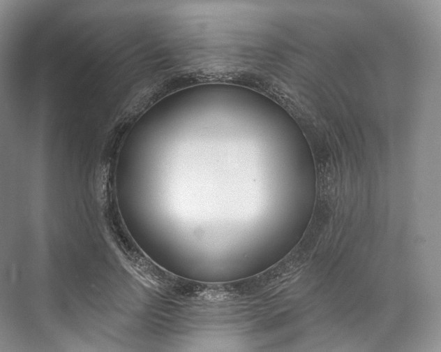 X0000073480742200608140816