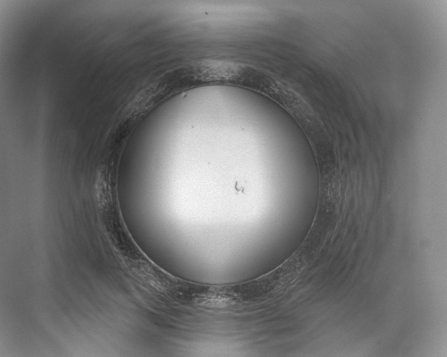 X0000073480743200608140816