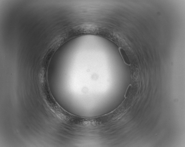 X0000073480744200608140816