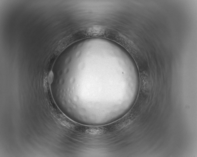 X0000073480745200608140816